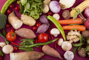 秋日进补，饮食养生知多少——餐饮服务中的养生之道