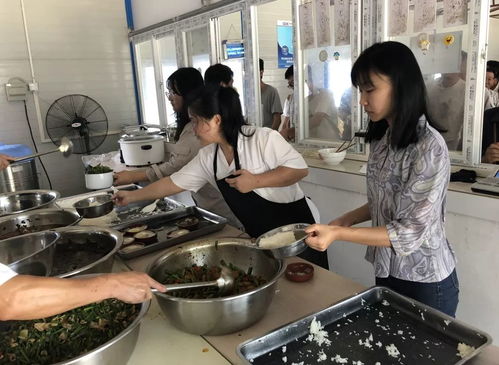 团团带你走基层 工作学习两不误，餐饮服务新视角